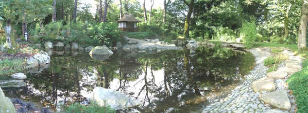 Panorama of Lake