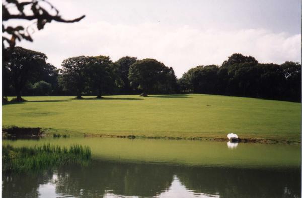 View of Parkland from the Lake