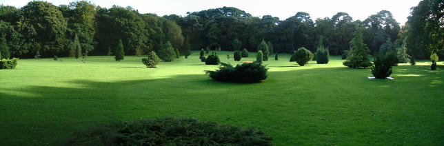 Pinetum October 2001