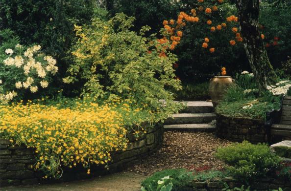 Entrance to Woodland Garden